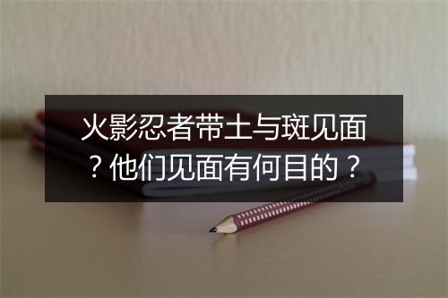 火影忍者带土与斑见面?他们见面有何目的?