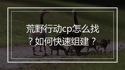 荒野行动cp怎么找?如何快速组建?