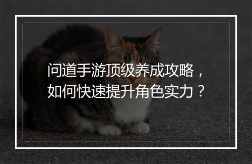 问道手游顶级养成攻略,如何快速提升角色实力?