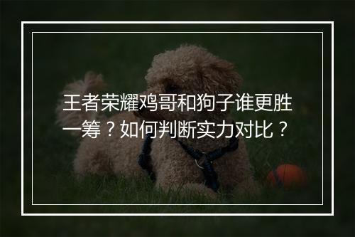 王者荣耀鸡哥和狗子谁更胜一筹?如何判断实力对比?