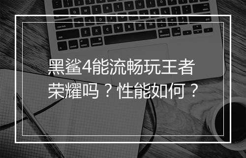 黑鲨4能流畅玩王者荣耀吗?性能如何?