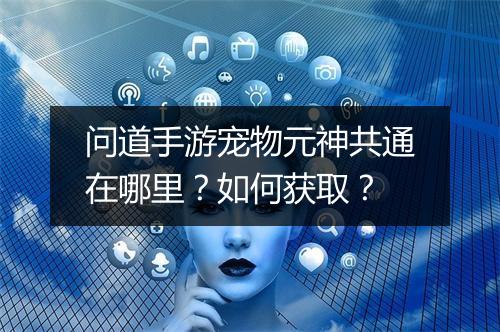 问道手游宠物元神共通在哪里？如何获取？