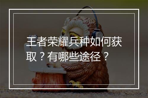 王者荣耀兵种如何获取?有哪些途径?
