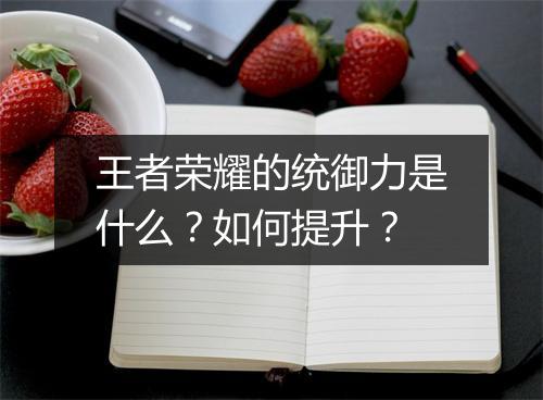 王者荣耀的统御力是什么?如何提升?