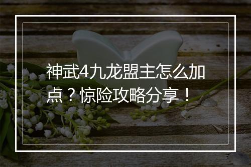 神武4九龙盟主怎么加点?惊险攻略分享!