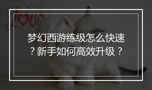 梦幻西游练级怎么快速?新手如何高效升级?