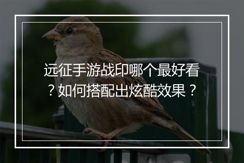 远征手游战印哪个最好看？如何搭配出炫酷效果？