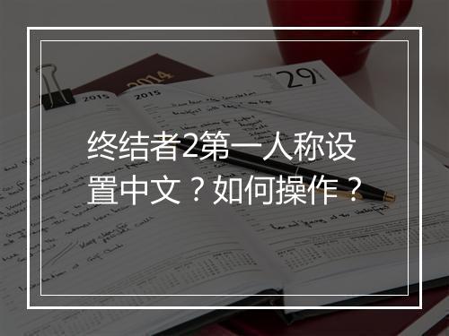 终结者2第一人称设置中文?如何操作?