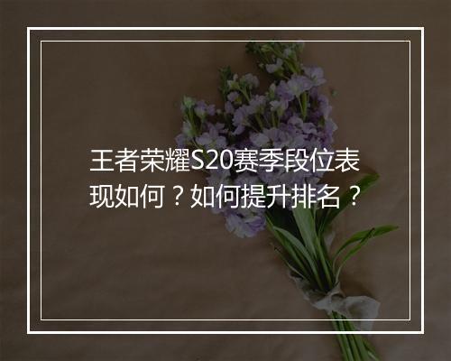 王者荣耀S20赛季段位表现如何?如何提升排名?