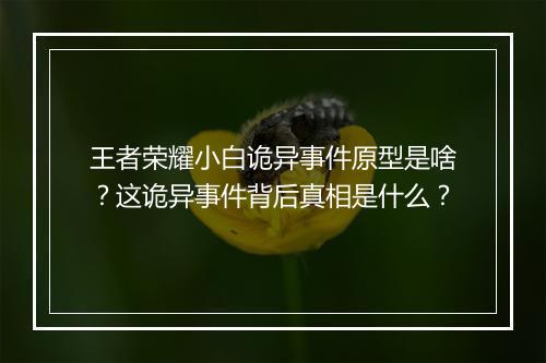 王者荣耀小白诡异事件原型是啥?这诡异事件背后真相是什么?
