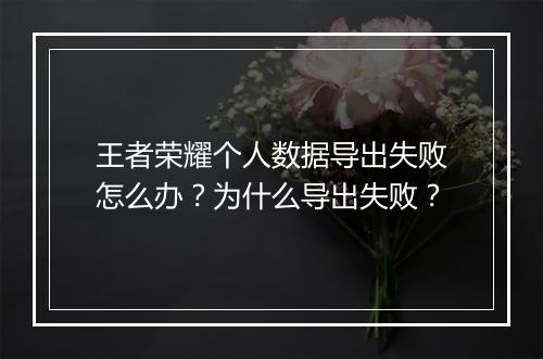 王者荣耀个人数据导出失败怎么办?为什么导出失败?
