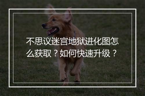 不思议迷宫地狱进化图怎么获取?如何快速升级?