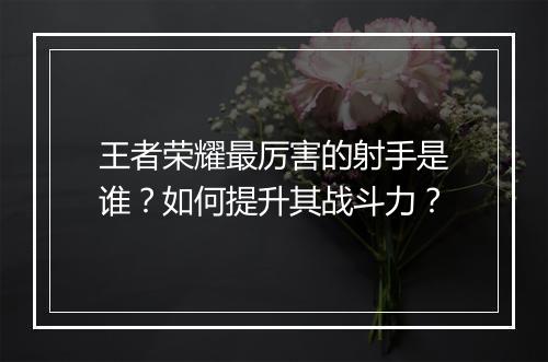 王者荣耀最厉害的射手是谁?如何提升其战斗力?