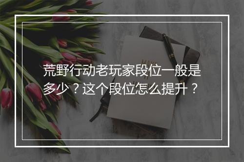 荒野行动老玩家段位一般是多少?这个段位怎么提升?