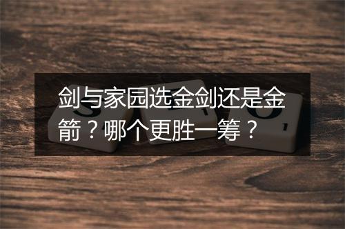 剑与家园选金剑还是金箭?哪个更胜一筹?