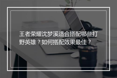 王者荣耀沈梦溪适合搭配哪些打野英雄？如何搭配效果最佳？
