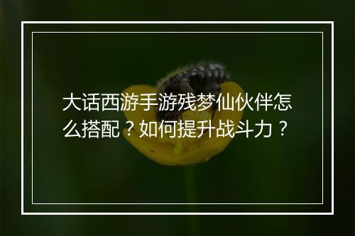 大话西游手游残梦仙伙伴怎么搭配?如何提升战斗力?