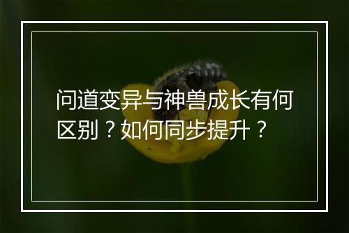 问道变异与神兽成长有何区别?如何同步提升?