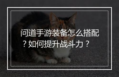 问道手游装备怎么搭配？如何提升战斗力？