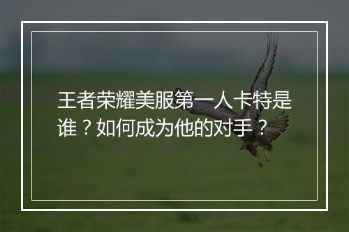 王者荣耀美服第一人卡特是谁?如何成为他的对手?