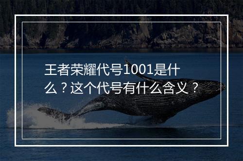王者荣耀代号1001是什么?这个代号有什么含义?