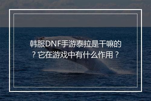 韩服DNF手游泰拉是干嘛的？它在游戏中有什么作用？