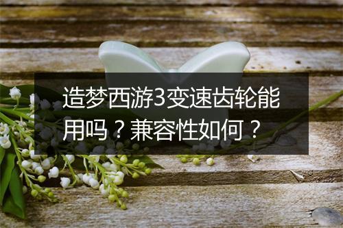 造梦西游3变速齿轮能用吗?兼容性如何?