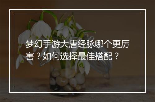梦幻手游大唐经脉哪个更厉害？如何选择最佳搭配？