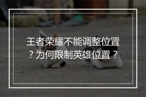 王者荣耀不能调整位置?为何限制英雄位置?