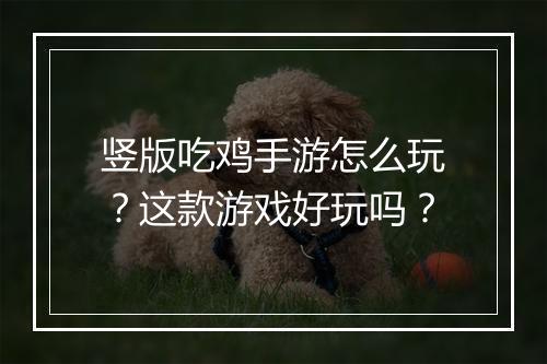 竖版吃鸡手游怎么玩？这款游戏好玩吗？