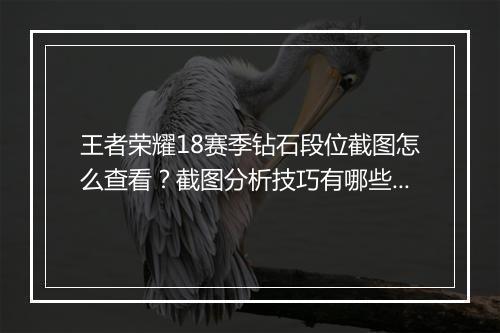 王者荣耀18赛季钻石段位截图怎么查看？截图分析技巧有哪些？
