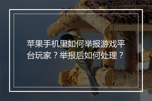 苹果手机里如何举报游戏平台玩家?举报后如何处理?