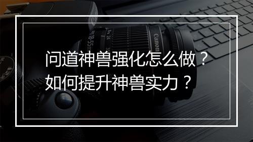 问道神兽强化怎么做？如何提升神兽实力？