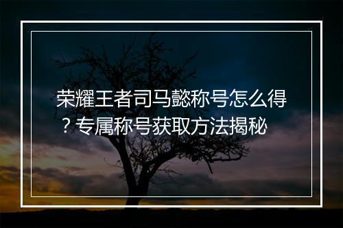 荣耀王者司马懿称号怎么得?专属称号获取方法揭秘