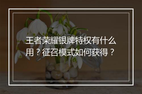 王者荣耀银牌特权有什么用?征召模式如何获得?