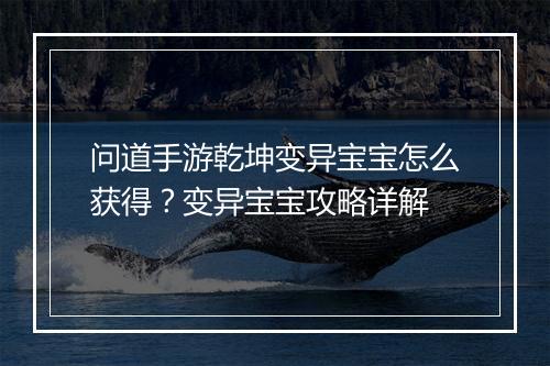 问道手游乾坤变异宝宝怎么获得?变异宝宝攻略详解