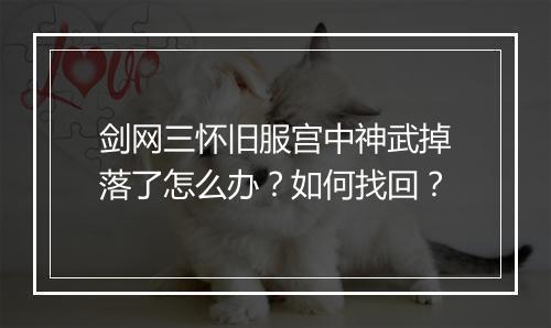 剑网三怀旧服宫中神武掉落了怎么办?如何找回?