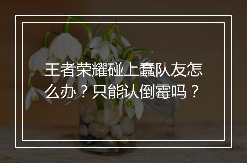王者荣耀碰上蠢队友怎么办?只能认倒霉吗?