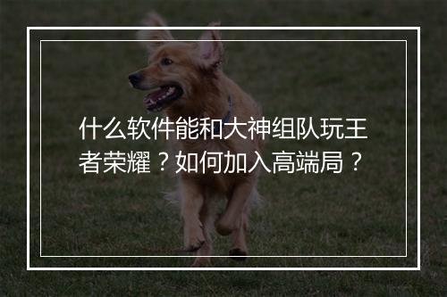 什么软件能和大神组队玩王者荣耀？如何加入高端局？