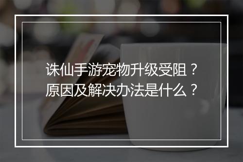 诛仙手游宠物升级受阻?原因及解决办法是什么?