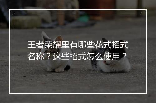 王者荣耀里有哪些花式招式名称?这些招式怎么使用?