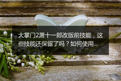 大掌门2萧十一郎改版前技能,这些技能还保留了吗?如何使用?