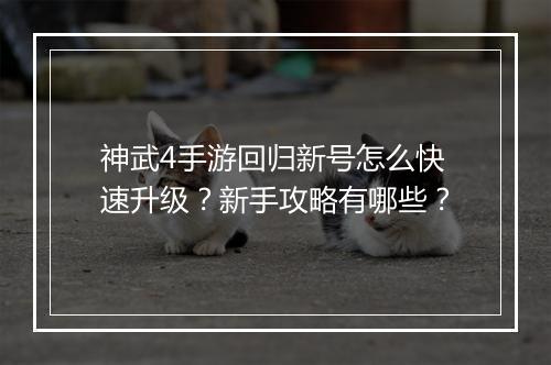 神武4手游回归新号怎么快速升级？新手攻略有哪些？