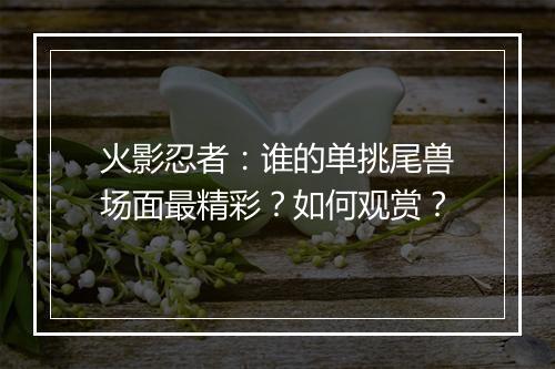 火影忍者:谁的单挑尾兽场面最精彩?如何观赏?