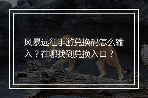 风暴远征手游兑换码怎么输入?在哪找到兑换入口?