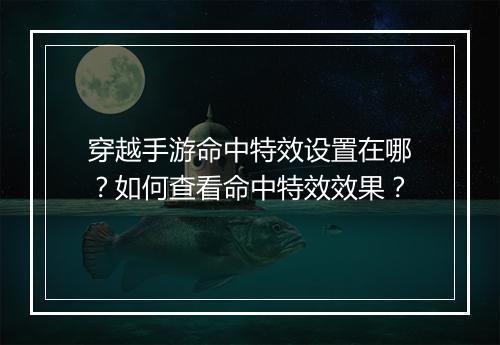 穿越手游命中特效设置在哪?如何查看命中特效效果?