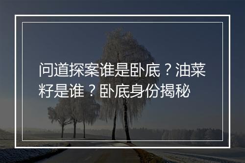 问道探案谁是卧底？油菜籽是谁？卧底身份揭秘