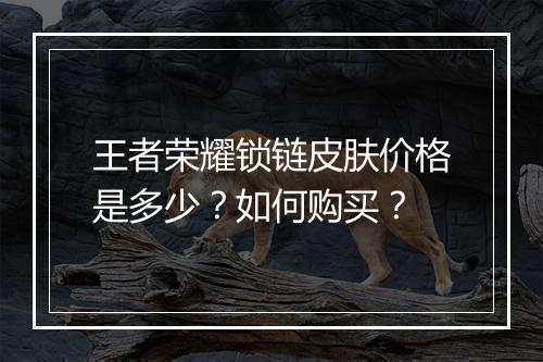 王者荣耀锁链皮肤价格是多少?如何购买?