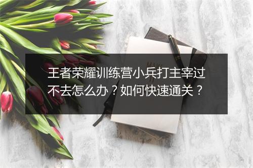 王者荣耀训练营小兵打主宰过不去怎么办?如何快速通关?