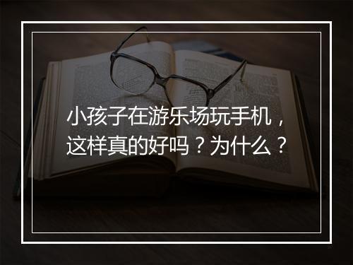 小孩子在游乐场玩手机，这样真的好吗？为什么？